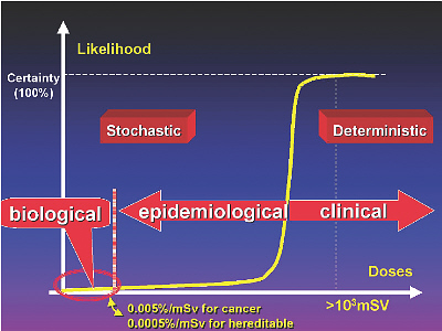 Health Physics Journal, Vol. 89, No. 5, November 2005